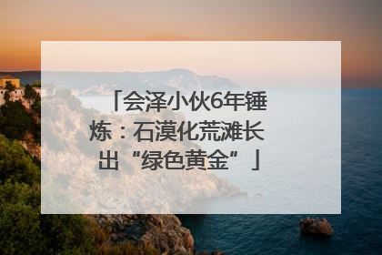 会泽小伙6年锤炼：石漠化荒滩长出“绿色黄金”