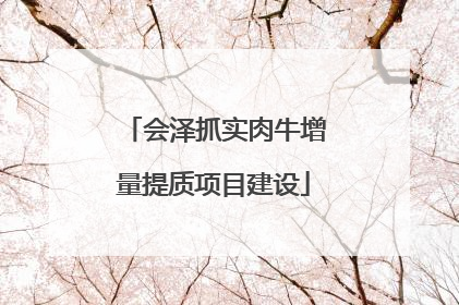 会泽抓实肉牛增量提质项目建设