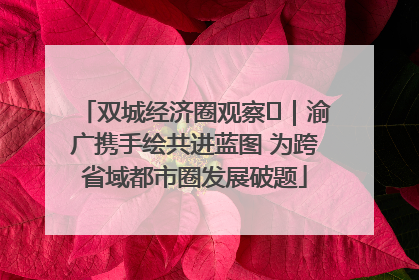 双城经济圈观察㊺｜渝广携手绘共进蓝图 为跨省域都市圈发展破题
