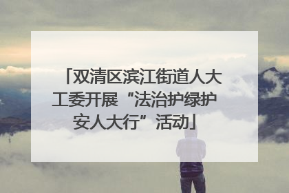 双清区滨江街道人大工委开展“法治护绿护安人大行”活动