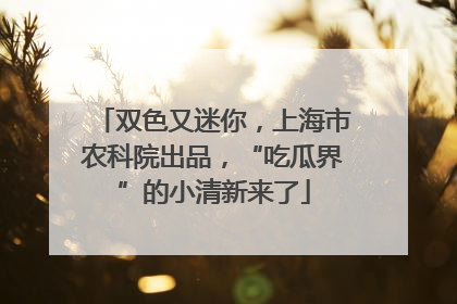 双色又迷你，上海市农科院出品，“吃瓜界”的小清新来了