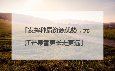 发挥种质资源优势，元江芒果香更长走更远