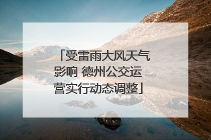 受雷雨大风天气影响 德州公交运营实行动态调整