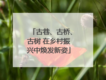 古巷、古桥、古树 在乡村振兴中焕发新姿