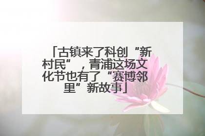 古镇来了科创“新村民”，青浦这场文化节也有了“赛博邻里”新故事