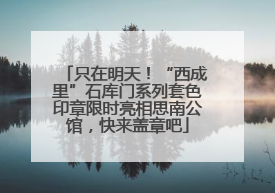 只在明天！“西成里”石库门系列套色印章限时亮相思南公馆，快来盖章吧