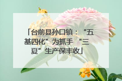 台前县孙口镇：“五基四化”为抓手 “三夏”生产保丰收