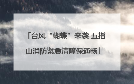 台风“蝴蝶”来袭 五指山消防紧急清障保通畅