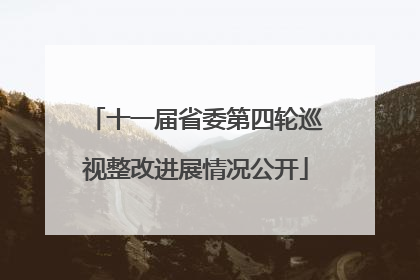 十一届省委第四轮巡视整改进展情况公开
