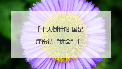 十天倒计时 国足疗伤待“拼命”