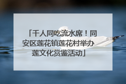 千人同吃流水席！同安区莲花镇莲花村举办莲文化赏鉴活动