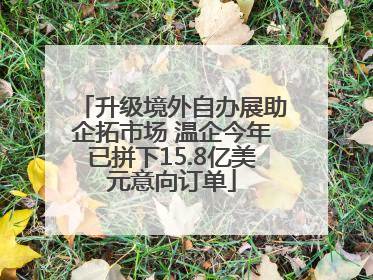 升级境外自办展助企拓市场 温企今年已拼下15.8亿美元意向订单