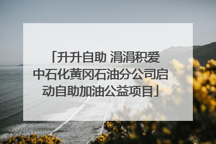 升升自助 涓涓积爱 中石化黄冈石油分公司启动自助加油公益项目