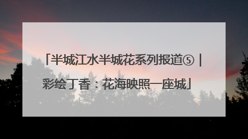 半城江水半城花系列报道⑤｜彩绘丁香：花海映照一座城