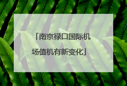 南京禄口国际机场值机有新变化