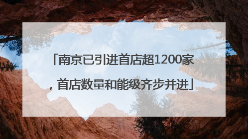 南京已引进首店超1200家，首店数量和能级齐步并进