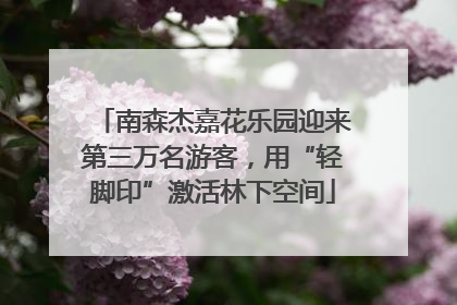 南森杰嘉花乐园迎来第三万名游客，用“轻脚印”激活林下空间