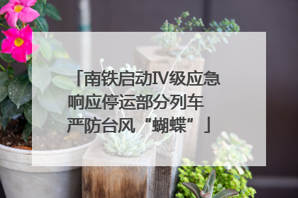 南铁启动Ⅳ级应急响应停运部分列车 严防台风“蝴蝶”