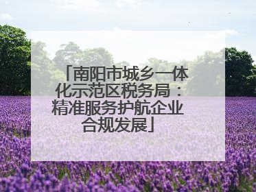 南阳市城乡一体化示范区税务局：精准服务护航企业合规发展