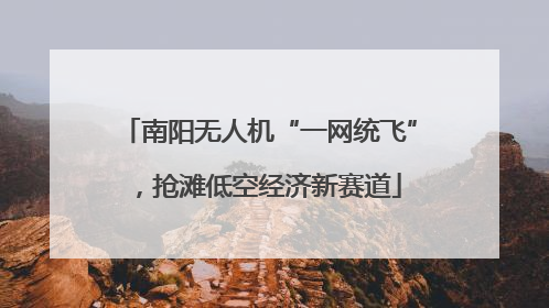 南阳无人机“一网统飞”，抢滩低空经济新赛道