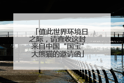值此世界环境日之际，请查收这封来自中国“国宝”大熊猫的邀请函