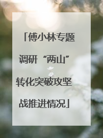 傅小林专题调研“两山”转化突破攻坚战推进情况