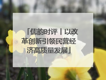儒韵时评丨以改革创新引领民营经济高质量发展