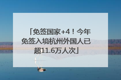 免签国家+4！今年免签入境杭州外国人已超11.6万人次