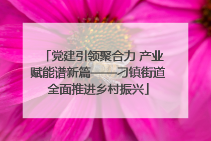 党建引领聚合力 产业赋能谱新篇——刁镇街道全面推进乡村振兴