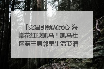 党建引领聚民心 海棠花红映凯马！凯马社区第三届邻里生活节谱写幸福新篇章