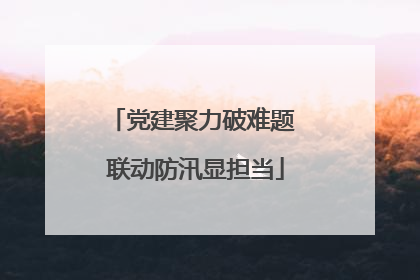 党建聚力破难题 联动防汛显担当