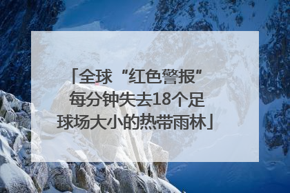全球“红色警报”  每分钟失去18个足球场大小的热带雨林