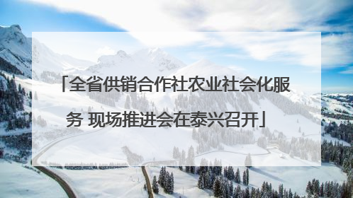 全省供销合作社农业社会化服务 现场推进会在泰兴召开
