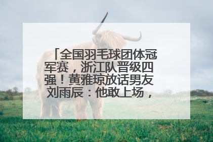 全国羽毛球团体冠军赛，浙江队晋级四强！黄雅琼放话男友刘雨辰：他敢上场，我一个劲遛他