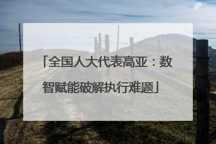 全国人大代表高亚：数智赋能破解执行难题