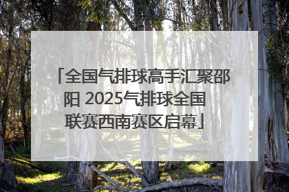 全国气排球高手汇聚邵阳 2025气排球全国联赛西南赛区启幕