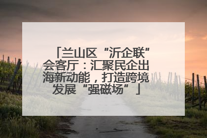 兰山区“沂企联”会客厅：汇聚民企出海新动能，打造跨境发展“强磁场”