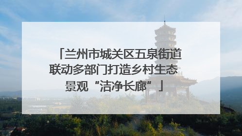兰州市城关区五泉街道联动多部门打造乡村生态景观“洁净长廊”