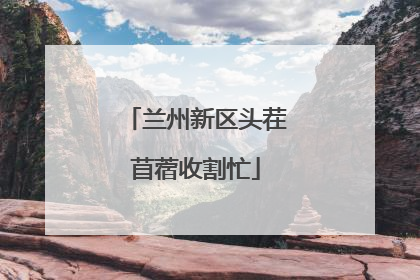 兰州新区头茬苜蓿收割忙