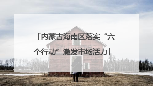 内蒙古海南区落实“六个行动”激发市场活力