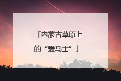 内蒙古草原上的“爱马士”