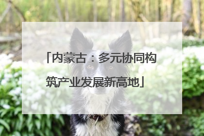 内蒙古：多元协同构筑产业发展新高地