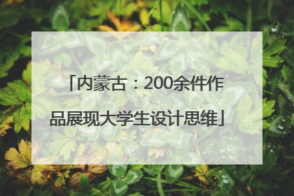 内蒙古：200余件作品展现大学生设计思维