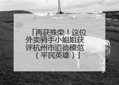 再获殊荣！这位外卖骑手小姐姐获评杭州市道德模范（平民英雄）