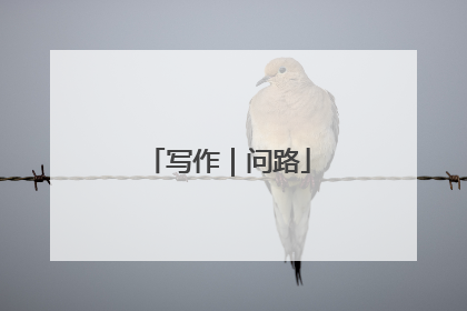 写作｜问路