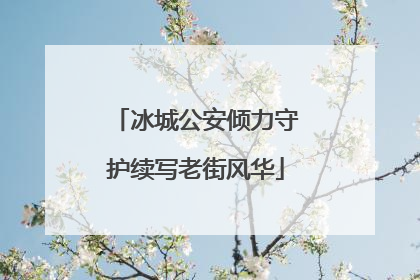 冰城公安倾力守护续写老街风华
