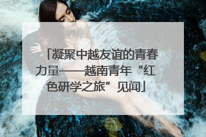 凝聚中越友谊的青春力量——越南青年“红色研学之旅”见闻