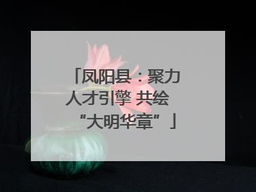 凤阳县：聚力人才引擎 共绘“大明华章”