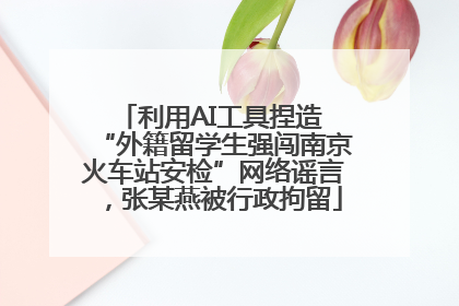 利用AI工具捏造 “外籍留学生强闯南京火车站安检”网络谣言，张某燕被行政拘留