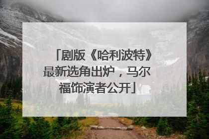 剧版《哈利波特》最新选角出炉，马尔福饰演者公开